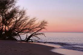 Giano Group Immobiliare